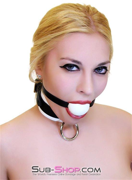 0513B Santa's Sleigh of Kinky Delights Bundle Bundles , Sub-Shop.com Bondage and Fetish Superstore