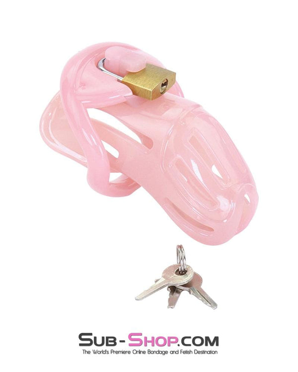 1533AR-SIS      Prison Sissy Bitch Pink Jailhouse Cock Locking Male Chastity Cage Sissy   , Sub-Shop.com Bondage and Fetish Superstore