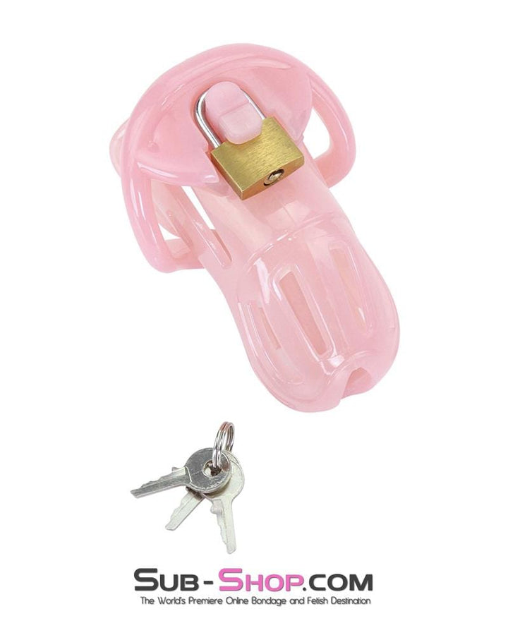 1533AR-SIS      Prison Sissy Bitch Pink Jailhouse Cock Locking Male Chastity Cage Sissy   , Sub-Shop.com Bondage and Fetish Superstore