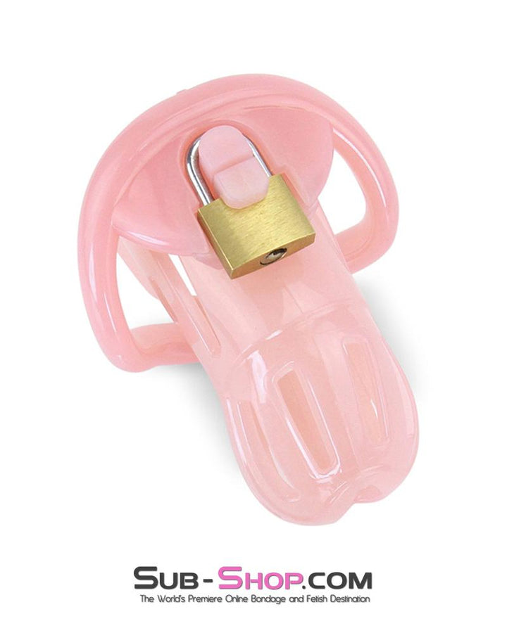 1533AR-SIS      Prison Sissy Bitch Pink Jailhouse Cock Locking Male Chastity Cage Sissy   , Sub-Shop.com Bondage and Fetish Superstore