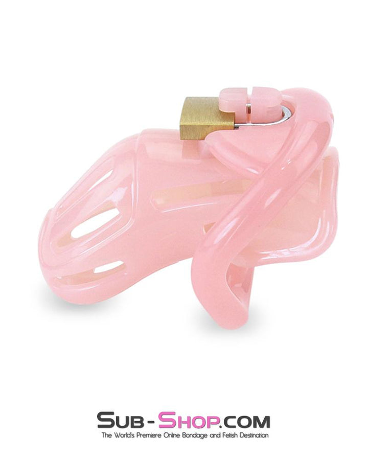 1533AR-SIS      Prison Sissy Bitch Pink Jailhouse Cock Locking Male Chastity Cage Sissy   , Sub-Shop.com Bondage and Fetish Superstore