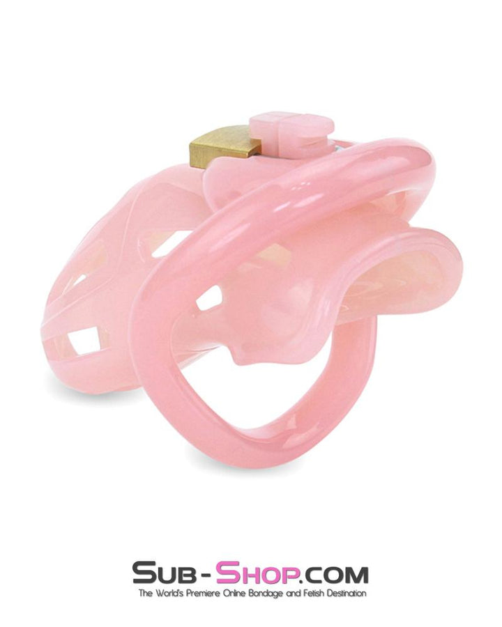 1533AR-SIS      Prison Sissy Bitch Pink Jailhouse Cock Locking Male Chastity Cage Sissy   , Sub-Shop.com Bondage and Fetish Superstore