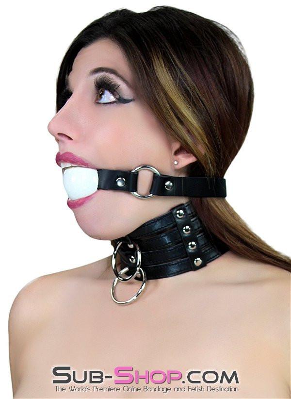 1648DL      Naked Lust Strappy Tall Collar and Leash Set Collar   , Sub-Shop.com Bondage and Fetish Superstore