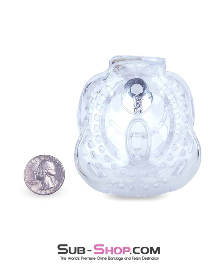 1583AR-SIS     Small Sissy Trap Dungeon Cage Clear High Security Full Coverage Male Chastity Device Sissy   , Sub-Shop.com Bondage and Fetish Superstore