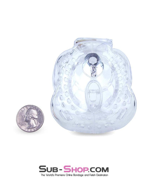1583AR      Small Dungeon Cage Clear High Security Full Coverage Male Chastity Device Chastity   , Sub-Shop.com Bondage and Fetish Superstore