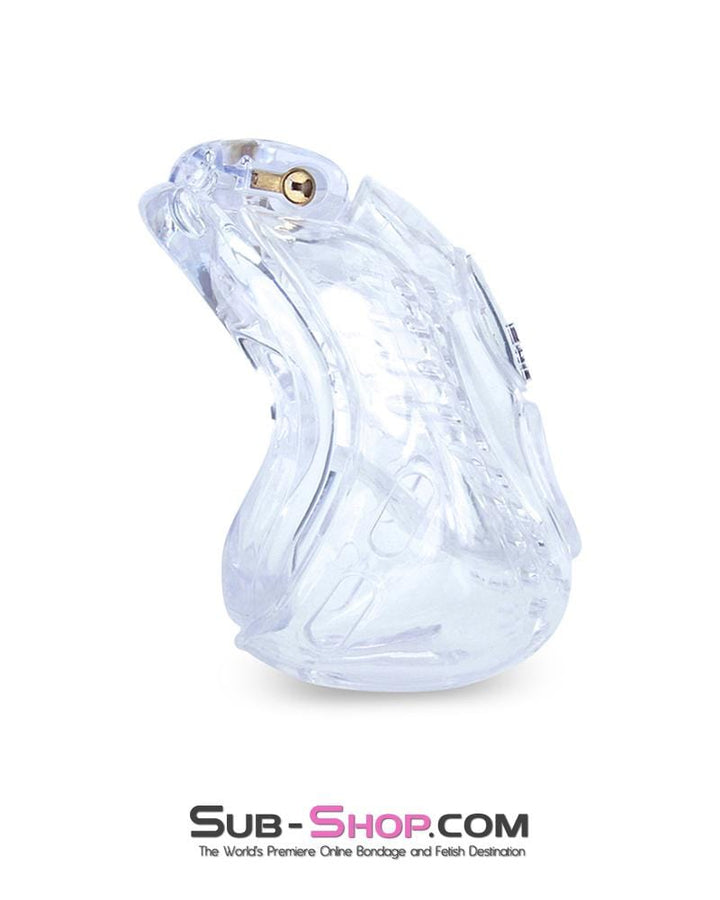 1583AR-SIS     Small Sissy Trap Dungeon Cage Clear High Security Full Coverage Male Chastity Device Sissy   , Sub-Shop.com Bondage and Fetish Superstore