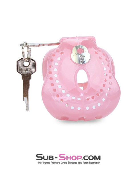 1587AR-SIS      Small Sissy Dungeon Cage Pink High Security Full Coverage Male Chastity Device Sissy   , Sub-Shop.com Bondage and Fetish Superstore
