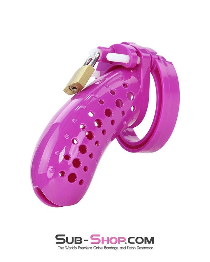 1603AR      The Stockade Purple Cage Male Chastity Device Chastity   , Sub-Shop.com Bondage and Fetish Superstore