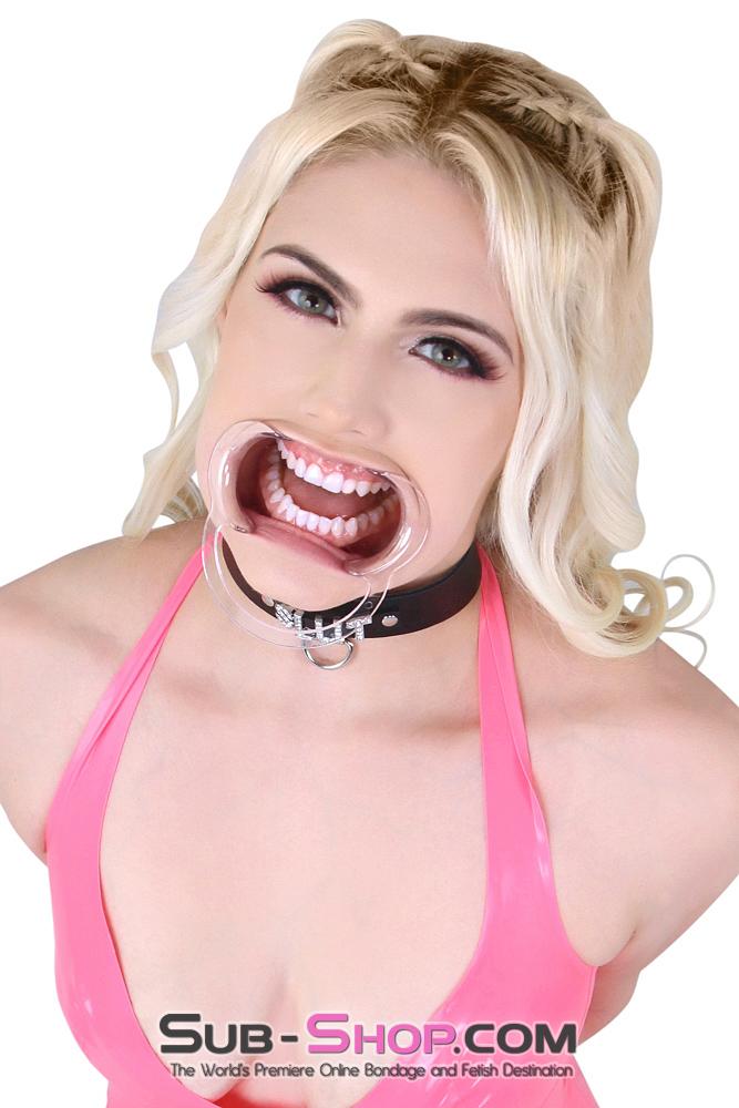 0163AE      Spread Open Wide Cheek Spreader Gag - MEGA Deal Black Friday Blowout   , Sub-Shop.com Bondage and Fetish Superstore