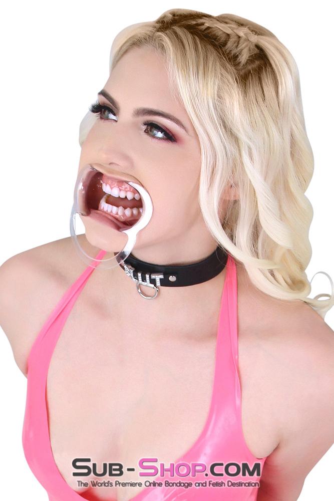 0163AE      Spread Open Wide Cheek Spreader Gag - MEGA Deal Black Friday Blowout   , Sub-Shop.com Bondage and Fetish Superstore