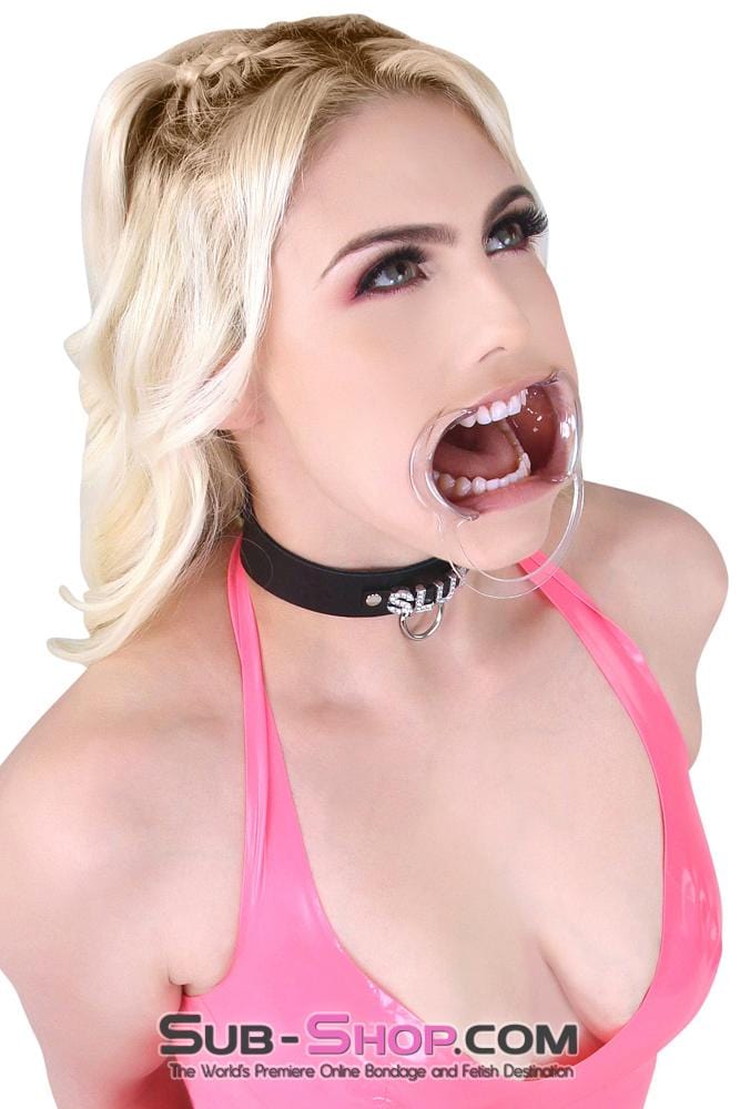 0163AE      Spread Open Wide Cheek Spreader Gag - MEGA Deal Black Friday Blowout   , Sub-Shop.com Bondage and Fetish Superstore