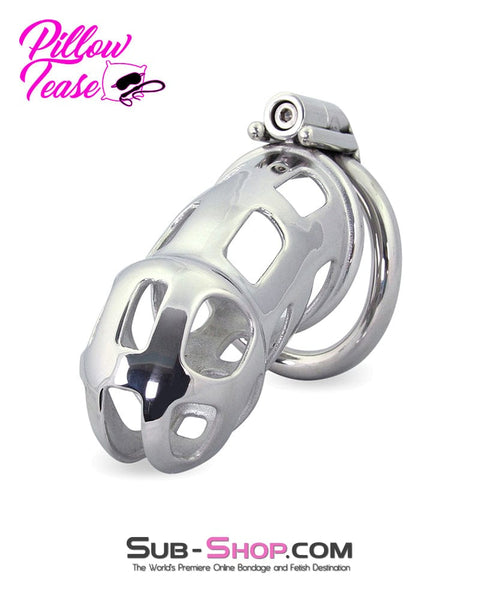 1691AR-SIS      Long Teasing Night Steel Male Sissy Chastity Cage Device Sissy   , Sub-Shop.com Bondage and Fetish Superstore