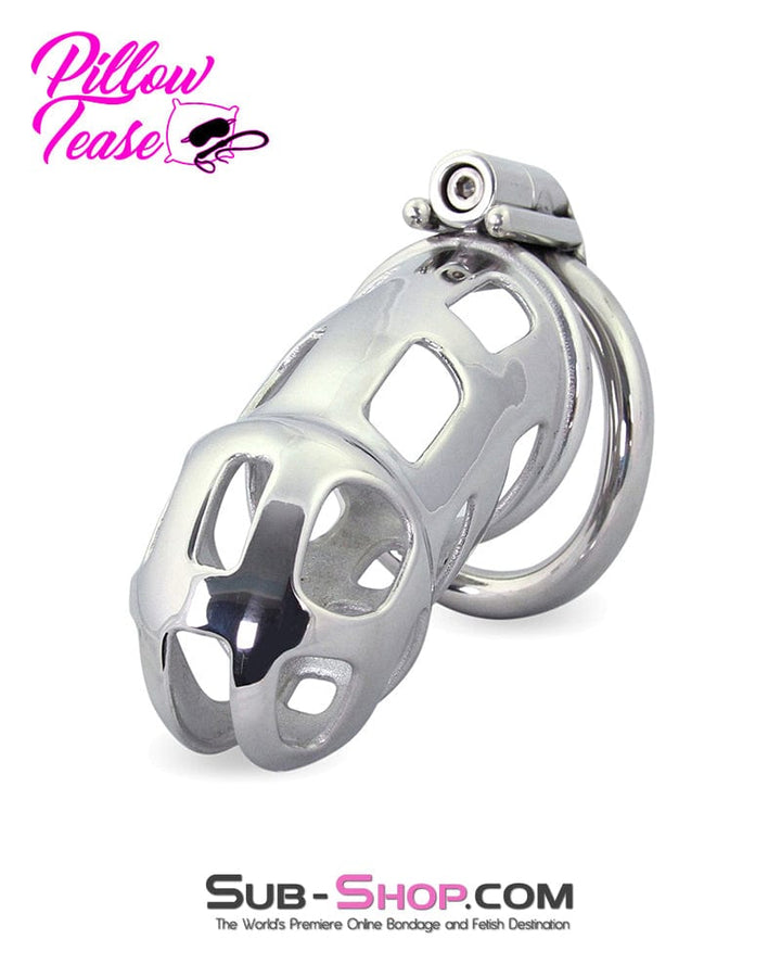 1691AR      Long Teasing Night Steel Male Chastity Cage Device - MEGA Deal MEGA Deal   , Sub-Shop.com Bondage and Fetish Superstore