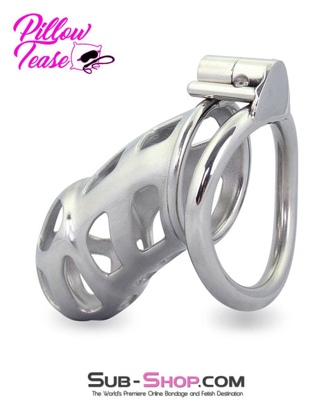 1692AR      Edging Torture Chastity Steel Male Chastity Cage Chastity   , Sub-Shop.com Bondage and Fetish Superstore