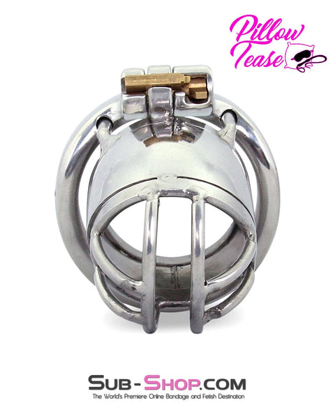 1693AR      Storm Drain Locking Steel Male Chastity Cage Chastity   , Sub-Shop.com Bondage and Fetish Superstore