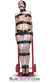 1743A-BLK      2" Wide Buckling Bondage Strap, Black Leather - 4 Sizes! Straps   , Sub-Shop.com Bondage and Fetish Superstore