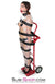 1743A-BLK      2" Wide Buckling Bondage Strap, Black Leather - 4 Sizes! Straps   , Sub-Shop.com Bondage and Fetish Superstore