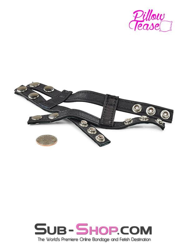 1772HS      Stallion Corral Ball Spreader & Stretcher Cock Cage   , Sub-Shop.com Bondage and Fetish Superstore