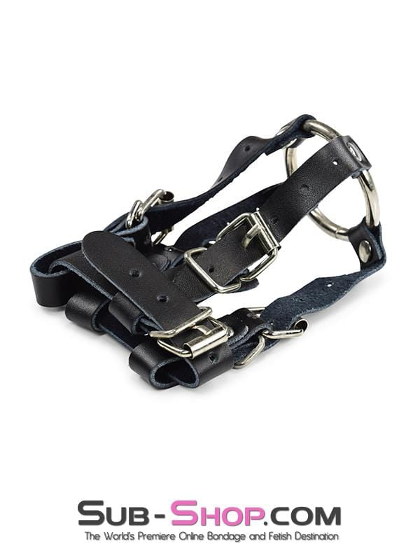 1781DL       Leather Balls & All Buckling Cock Ring Set - MEGA Deal MEGA Deal   , Sub-Shop.com Bondage and Fetish Superstore