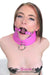 1784DL      Hot Pink Posture Collar with Attached Ring Gag Set - MEGA Deal MEGA Deal   , Sub-Shop.com Bondage and Fetish Superstore
