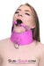 1784DL      Hot Pink Posture Collar with Attached Ring Gag Set - MEGA Deal MEGA Deal   , Sub-Shop.com Bondage and Fetish Superstore