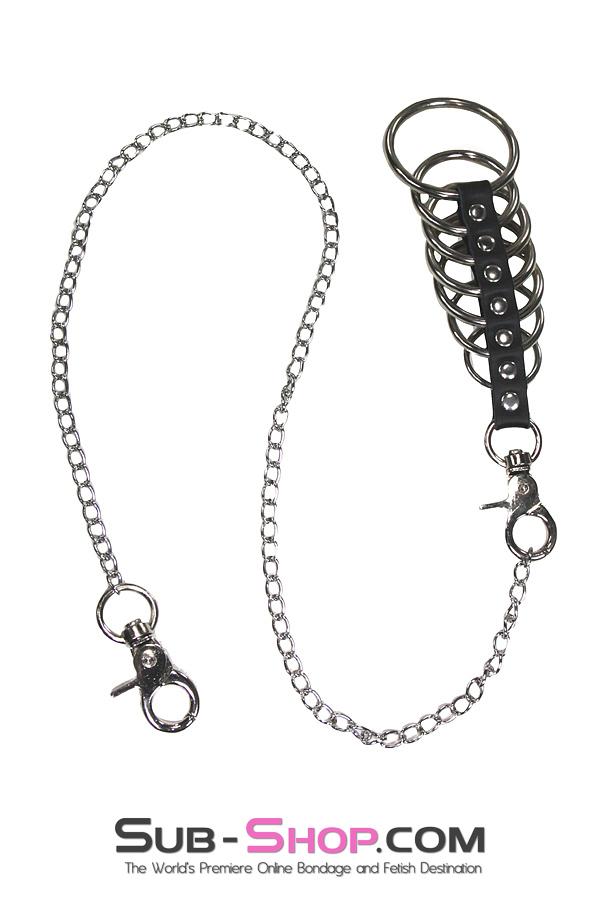 1786DL      7 Gates of Hell with Lead Chain Cock Cage   , Sub-Shop.com Bondage and Fetish Superstore