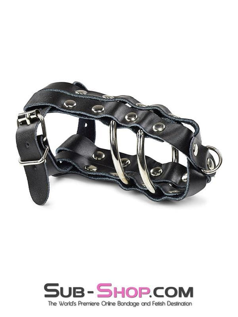 1797DL      Lockable Leather Cock & Balls Cage with Lead Ring Tip - MEGA Deal Black Friday Blowout   , Sub-Shop.com Bondage and Fetish Superstore