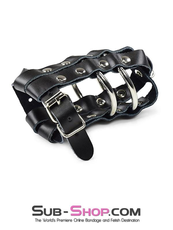 1797DL Lockable Cock & Balls Cage with Lead Ring Tip Cock Cage , Sub-Shop.com Bondage and Fetish Superstore