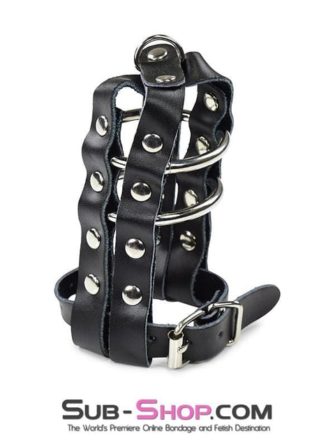 1797DL-SIS      Sissy Minx Lockable Leather Cock & Balls Cage with Lead Ring Tip Sissy   , Sub-Shop.com Bondage and Fetish Superstore