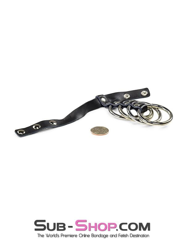 1798DL      4 Ring Gates of Hell with Leather Cock Ring Cock Cage   , Sub-Shop.com Bondage and Fetish Superstore