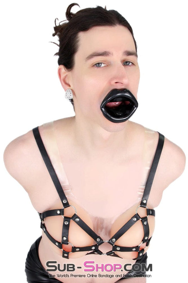 1800AE-SIS      Pretty Rag Doll Feminization Sissy Roleplay Gothic Black Sex Sissy Doll Lips Open Mouth Gag Sissy   , Sub-Shop.com Bondage and Fetish Superstore