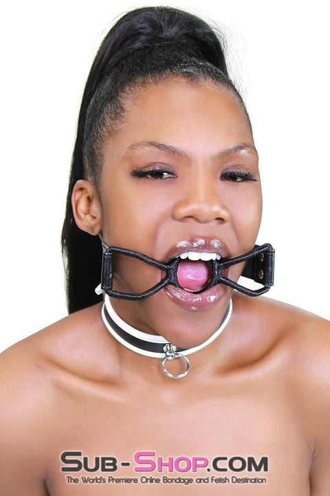 1852RS      White Trimmed Kitten Collar Collar   , Sub-Shop.com Bondage and Fetish Superstore