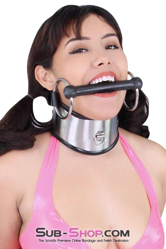 1845M      Beg, Swallow and Steel Rubber Lined Stainless Steel Locking Posture Collar Collar   , Sub-Shop.com Bondage and Fetish Superstore