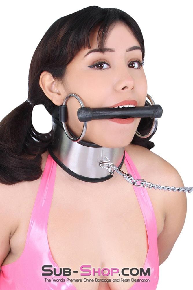 1845M      Beg, Swallow and Steel Rubber Lined Stainless Steel Locking Posture Collar Collar   , Sub-Shop.com Bondage and Fetish Superstore