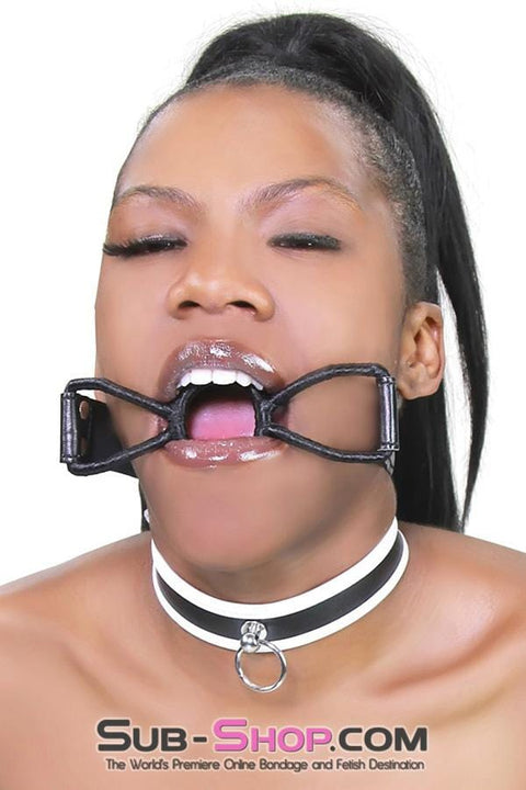 1839RS      Insatiable Ring Gag Gags   , Sub-Shop.com Bondage and Fetish Superstore