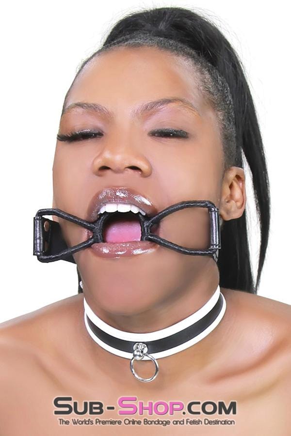 1852RS      White Trimmed Kitten Collar Collar   , Sub-Shop.com Bondage and Fetish Superstore