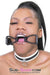 1852RS      White Trimmed Kitten Collar Collar   , Sub-Shop.com Bondage and Fetish Superstore