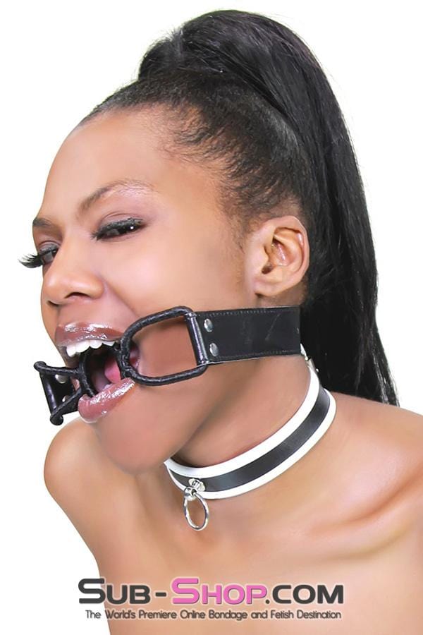 1852RS      White Trimmed Kitten Collar Collar   , Sub-Shop.com Bondage and Fetish Superstore