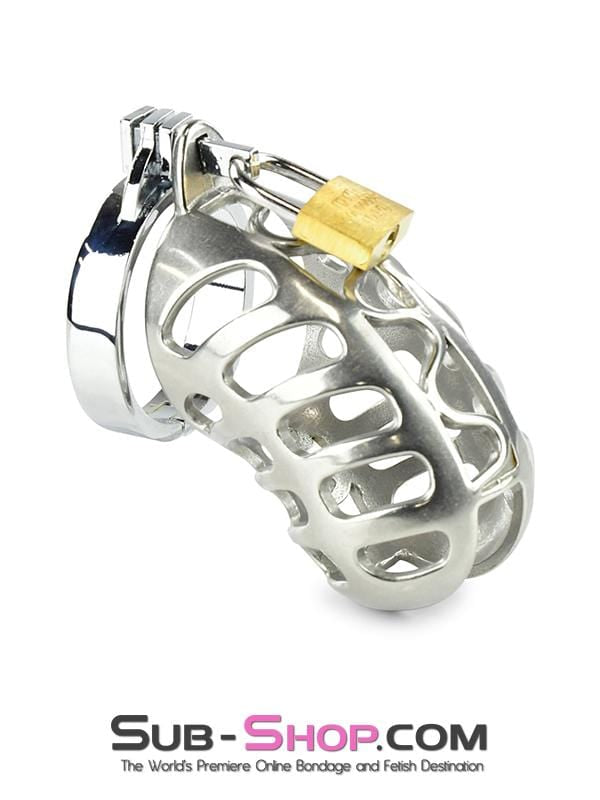 1884AR      Stainless Steel Cock & Ball Locking Male Chastity System Chastity   , Sub-Shop.com Bondage and Fetish Superstore