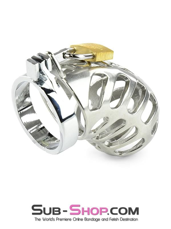 1884AR      Stainless Steel Cock & Ball Locking Male Chastity System Chastity   , Sub-Shop.com Bondage and Fetish Superstore