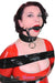 0192A      Locking Leather Bondage Collar Collar   , Sub-Shop.com Bondage and Fetish Superstore