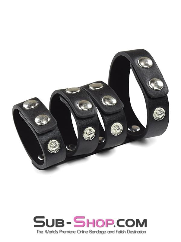 1936DL      Leather 4 Strap Adjustable Cock & Ball Harness Cock Cage   , Sub-Shop.com Bondage and Fetish Superstore