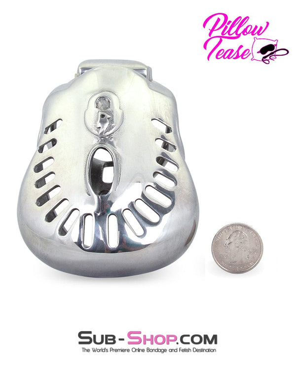 2234AR      Big Steel Dungeon Full Balls and All Locking Male Chastity Cage - MEGA Deal MEGA Deal   , Sub-Shop.com Bondage and Fetish Superstore