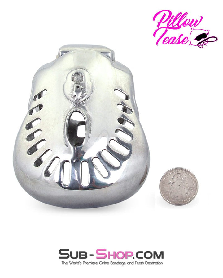 2234AR      Big Steel Dungeon Full Balls and All Locking Male Chastity Cage - MEGA Deal MEGA Deal   , Sub-Shop.com Bondage and Fetish Superstore