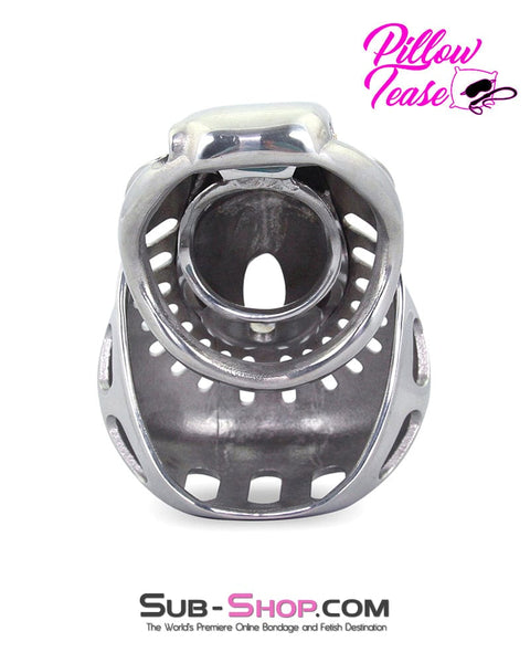 2234AR      Big Steel Dungeon Full Balls and All Locking Male Chastity Cage Chastity   , Sub-Shop.com Bondage and Fetish Superstore