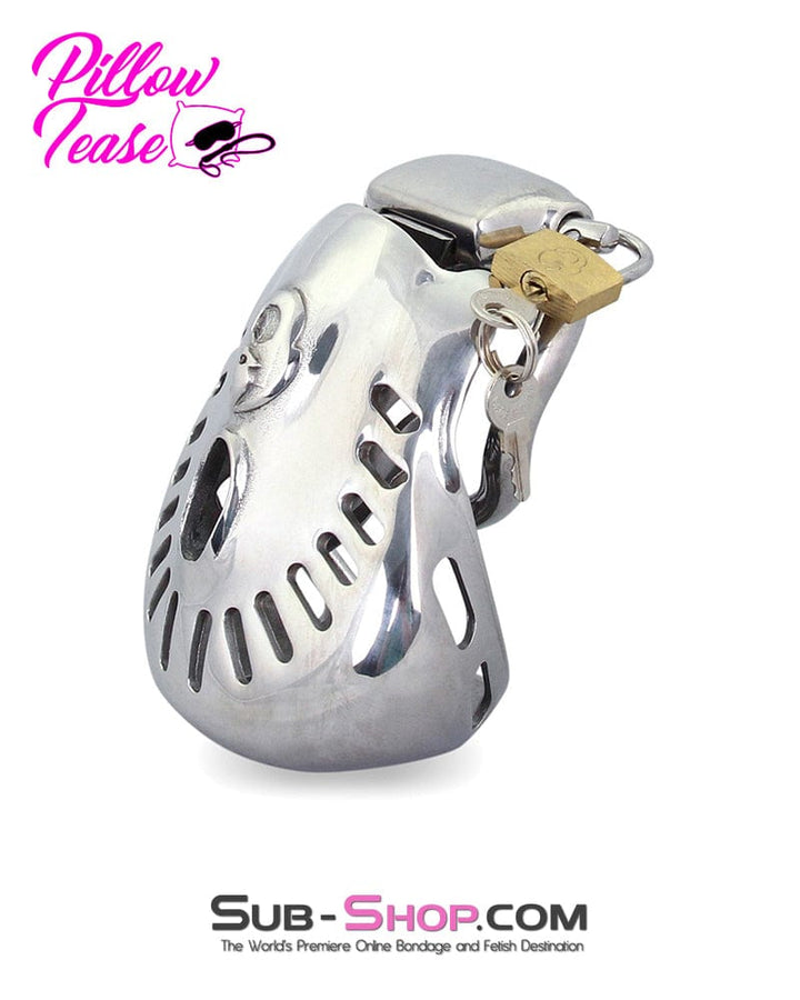 2234AR      Big Steel Dungeon Full Balls and All Locking Male Chastity Cage - MEGA Deal MEGA Deal   , Sub-Shop.com Bondage and Fetish Superstore