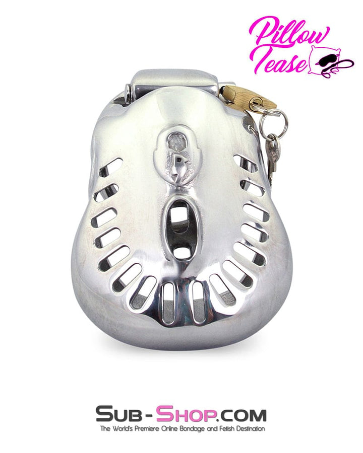 2234AR      Big Steel Dungeon Full Balls and All Locking Male Chastity Cage - MEGA Deal MEGA Deal   , Sub-Shop.com Bondage and Fetish Superstore