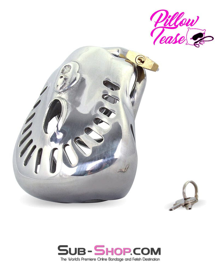 2234AR      Big Steel Dungeon Full Balls and All Locking Male Chastity Cage - MEGA Deal MEGA Deal   , Sub-Shop.com Bondage and Fetish Superstore