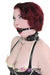 0238DL      Locking Studded 3 Ring Slave Collar with Leash Combo Collar   , Sub-Shop.com Bondage and Fetish Superstore
