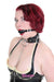 0238DL      Locking Studded 3 Ring Slave Collar with Leash Combo Collar   , Sub-Shop.com Bondage and Fetish Superstore